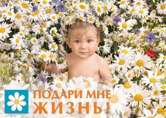 В храмах Нижнедонского благочиния прошел общецерковный сбор средств для оказания помощи беременным женщинам, находящимся в трудных обстоятельствах