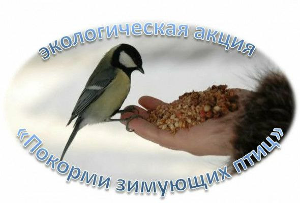 Учащиеся воскресных школ Нижнедонского благочиния принимают участие в экологической акции «Покорми зимующих птиц»