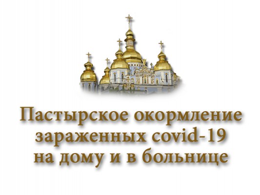 Духовенство Нижнедонского благочиния приняло участие в дистанционном формате в семинаре по окормлению зараженных covid-19