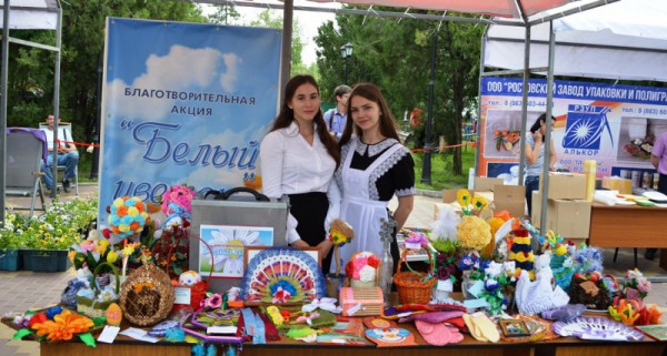 Подведены итоги конкурса добровольческих проектов Октябрьского района