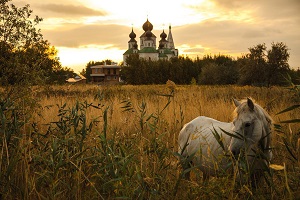Всероссийский Интернет-конкурс детского творчества  «Природа родного края»